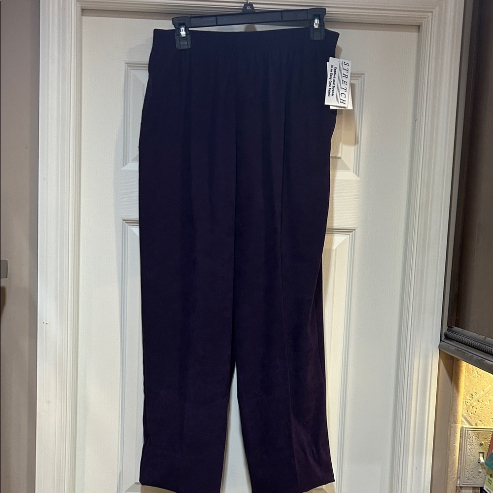 NWT BonWorth Deep Purple Faux Suede Pants